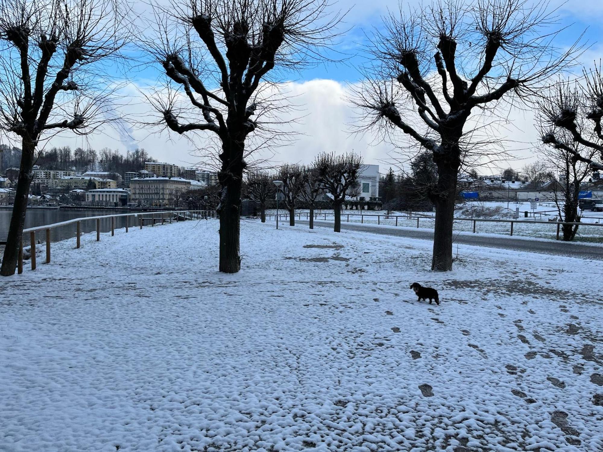 Altstadtjuwel In Gmunden Am Traunsee Екстер'єр фото
